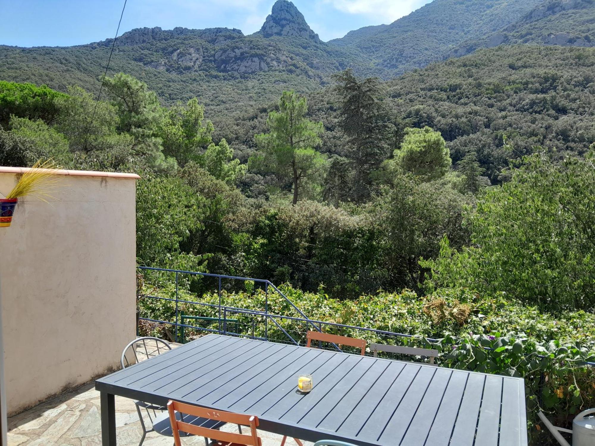 La Bergerie Βίλα Sorède Εξωτερικό φωτογραφία