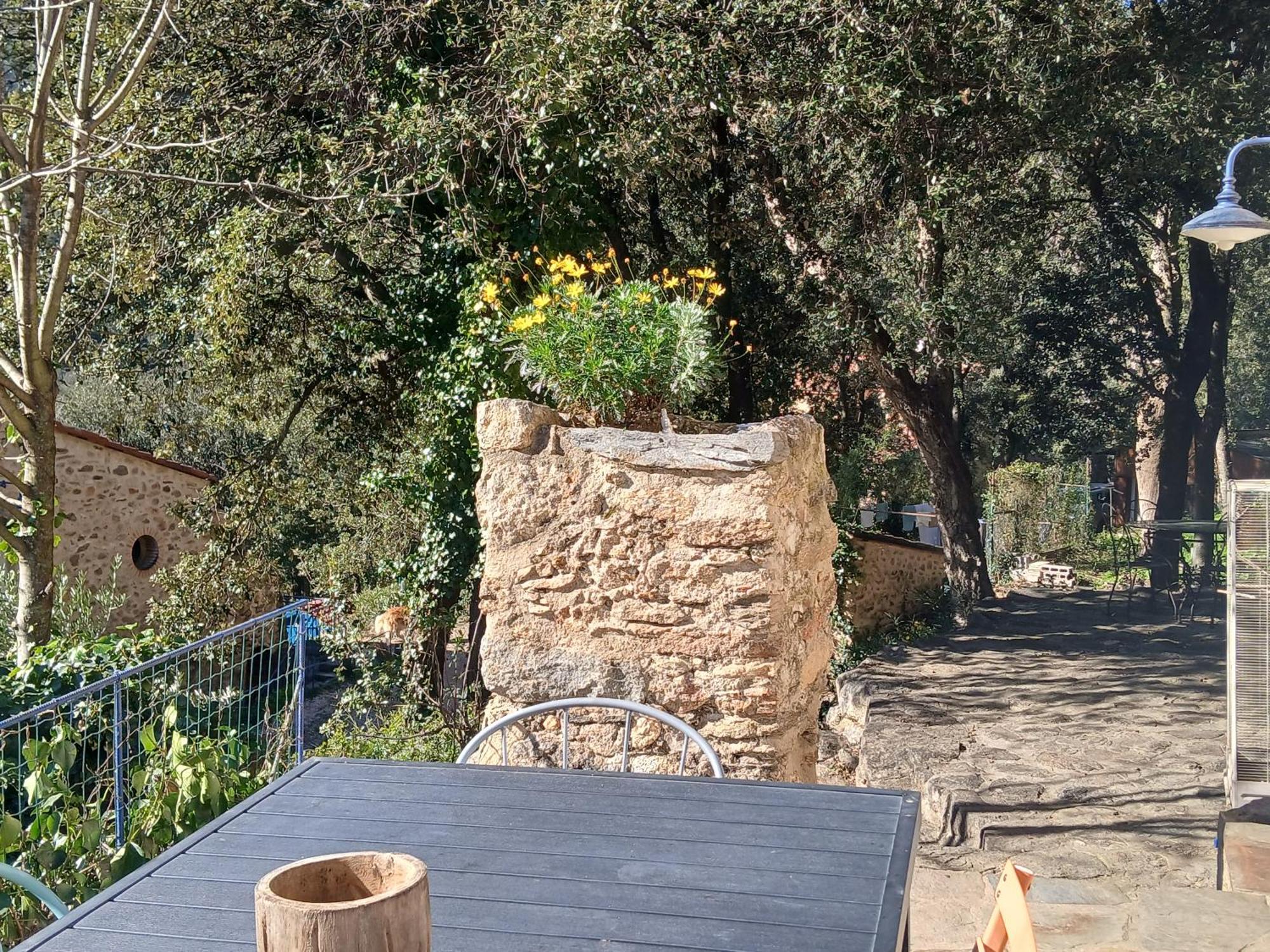 La Bergerie Βίλα Sorède Εξωτερικό φωτογραφία