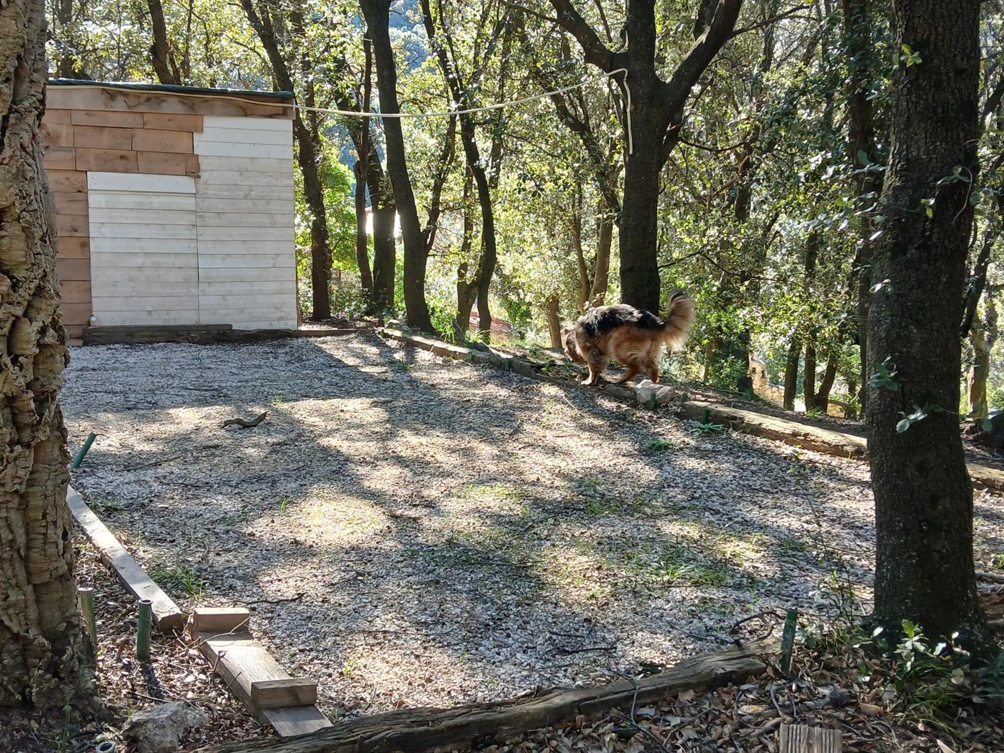La Bergerie Βίλα Sorède Εξωτερικό φωτογραφία
